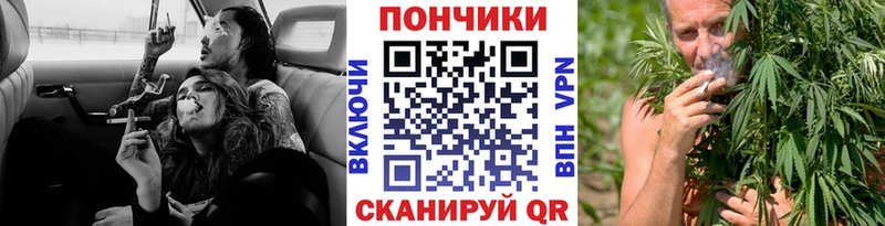darknet наркотические препараты  Шагонар  Марихуана марихуана  сколько стоит 